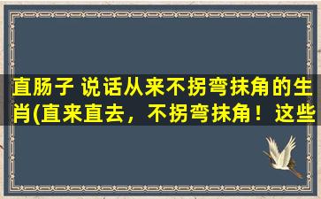 直肠子 说话从来不拐弯抹角的生肖(直来直去，不拐弯抹角！这些生肖zui“直白”！)